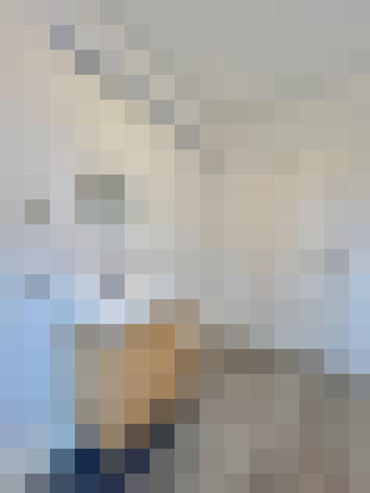  / #15
