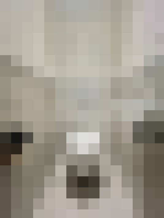  / #20
