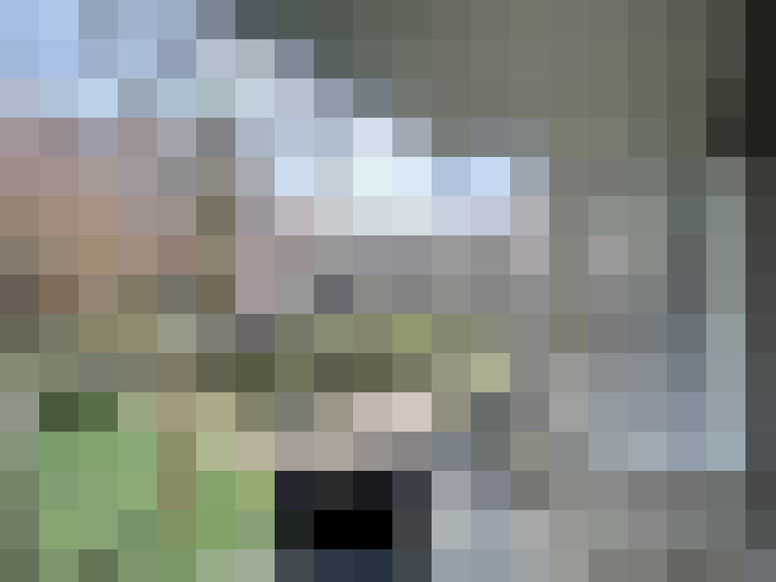  / #16