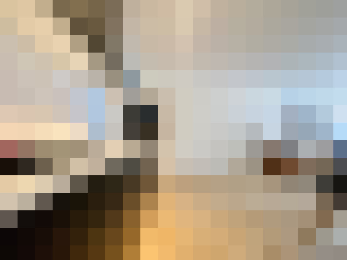  / #23