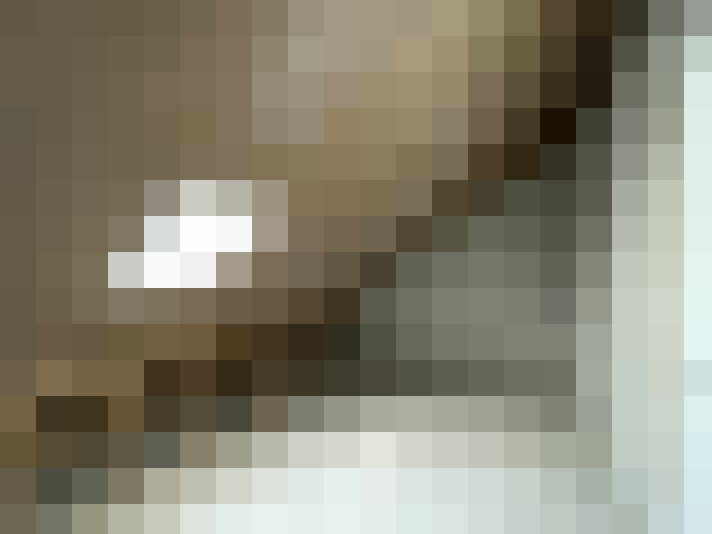  / #17