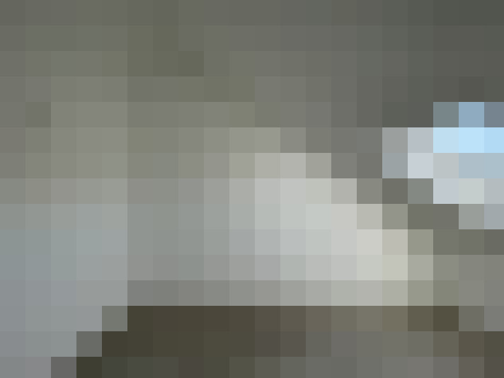  / #15