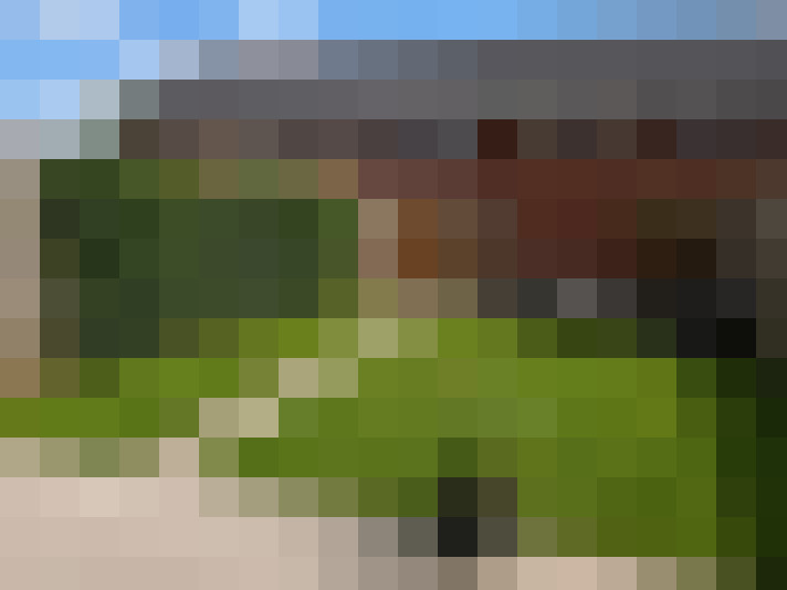  / #19