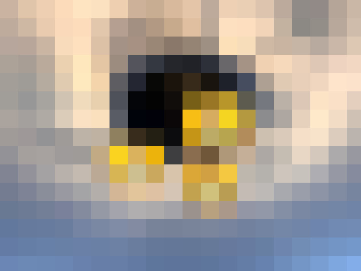  / #7