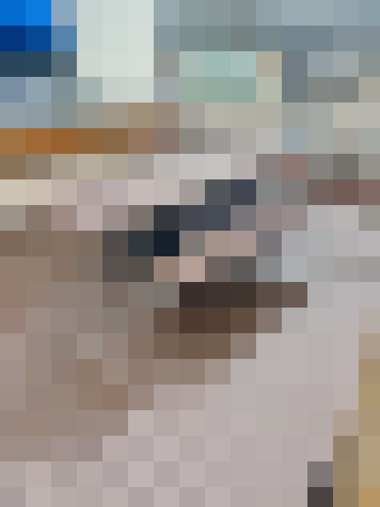  / #21