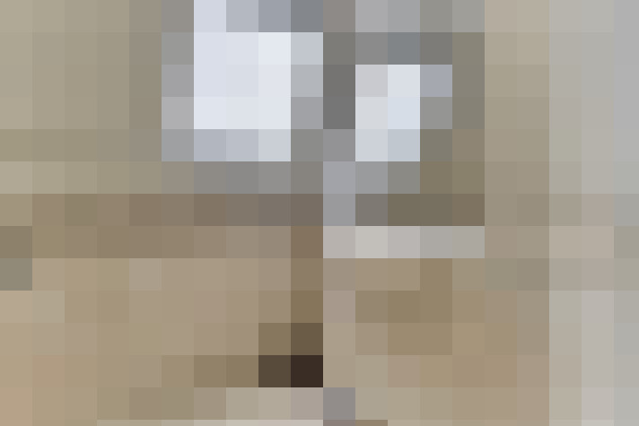  / #20