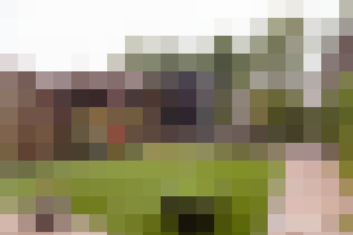 / #21