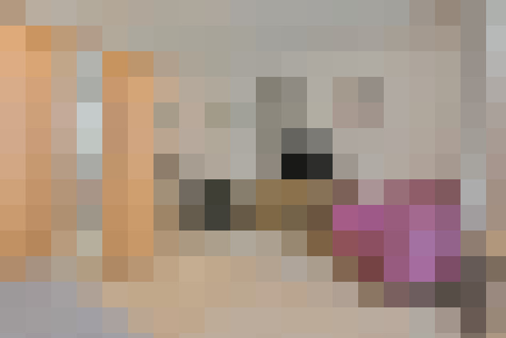  / #8