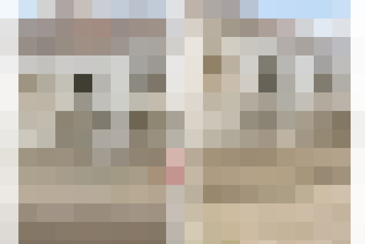  / #11