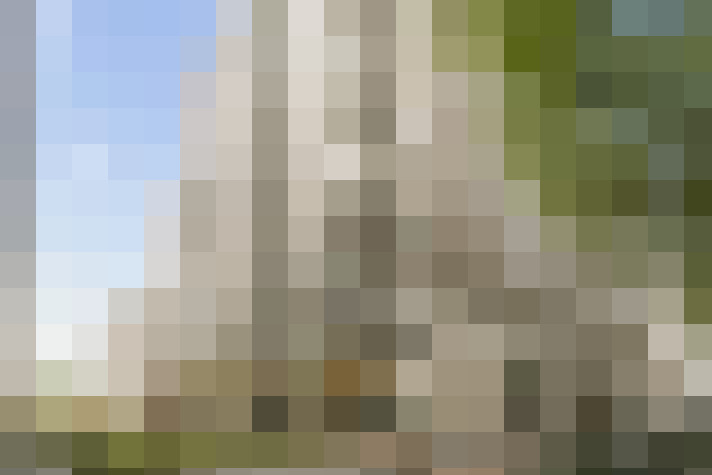  / #15