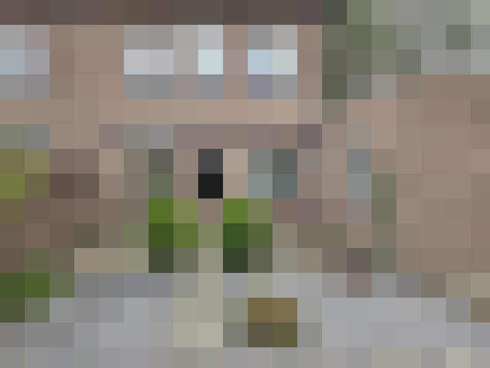  / #24