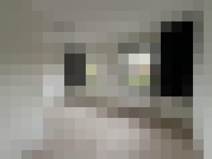  / #14