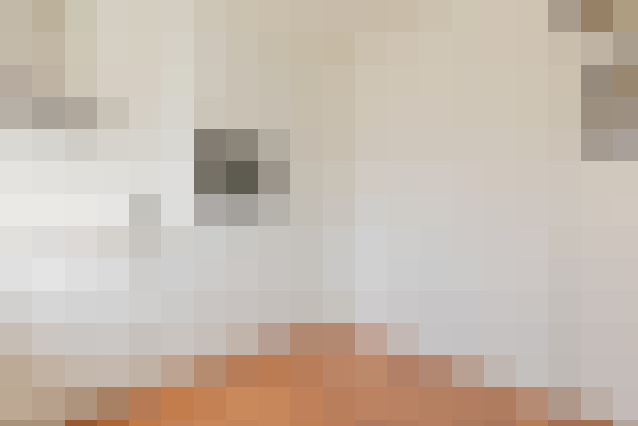  / #20