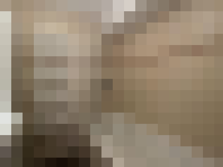  / #11