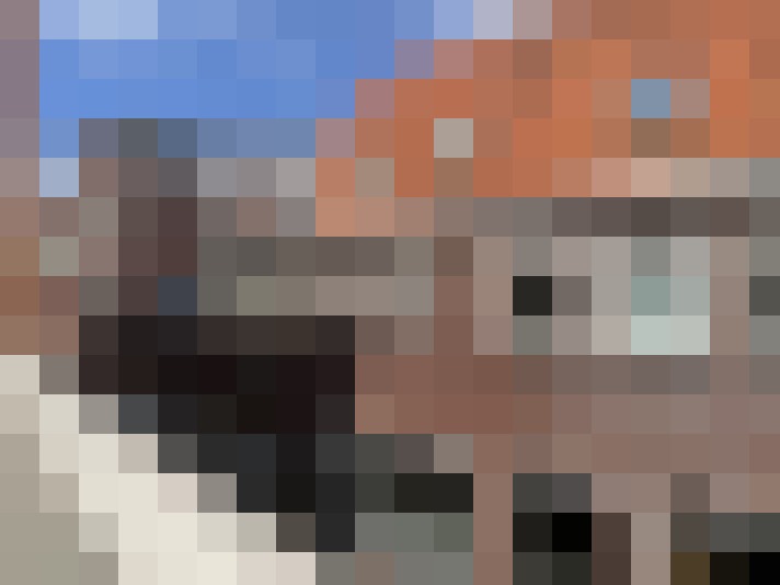  / #19