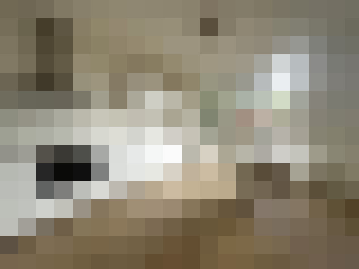  / #13