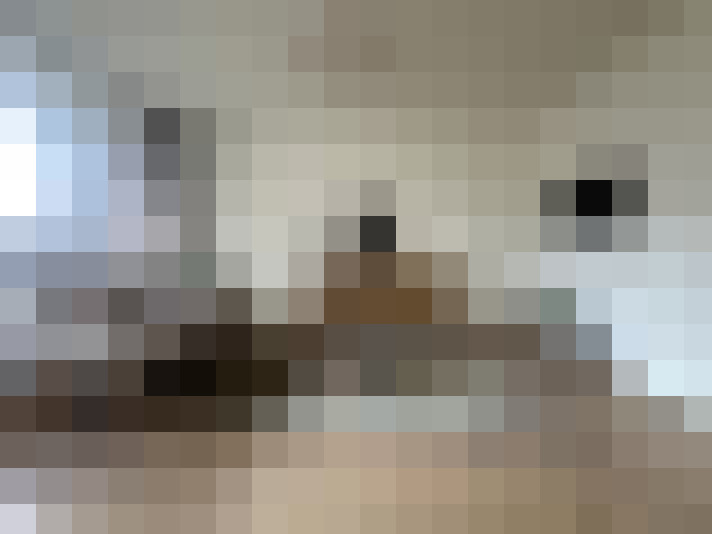 / #8