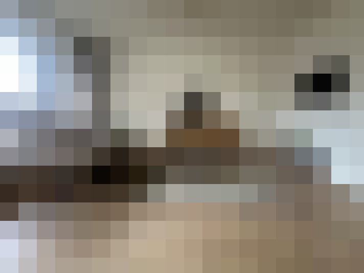  / #20