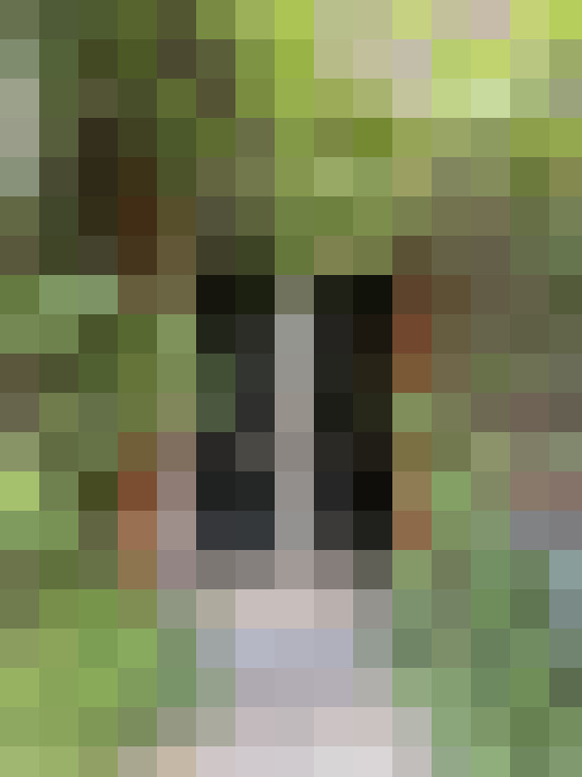  / #14