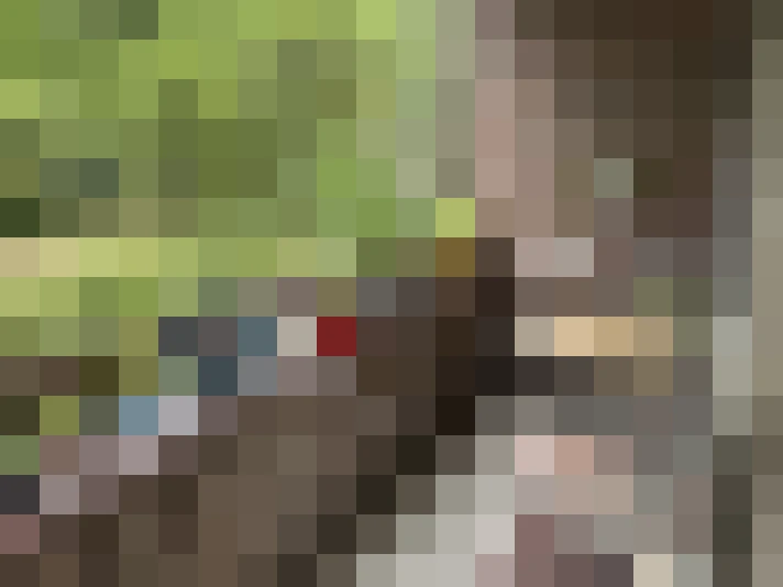  / #12