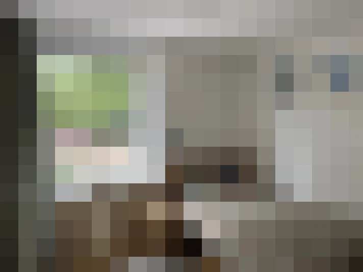  / #14