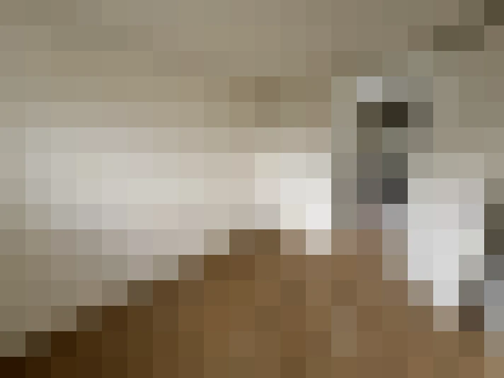  / #15
