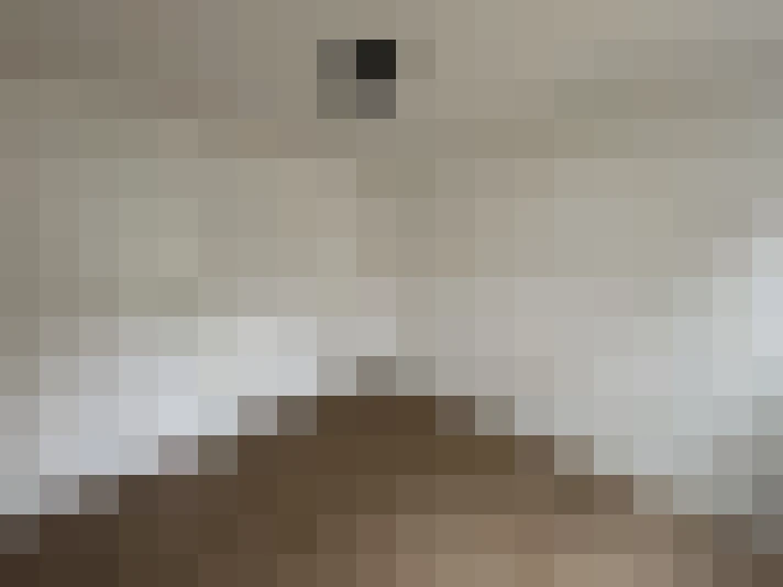  / #15