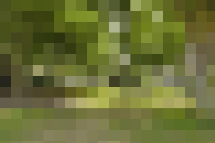  / #7