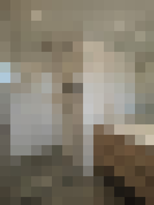  / #16