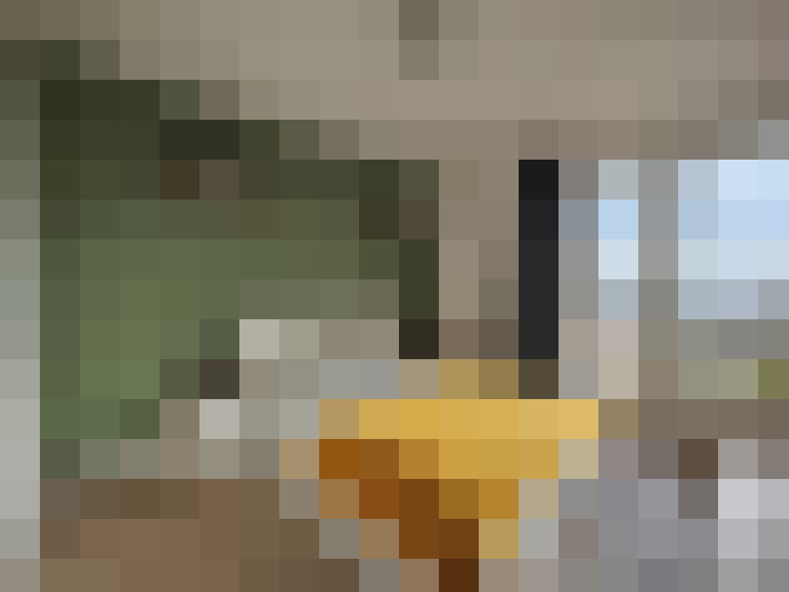  / #12