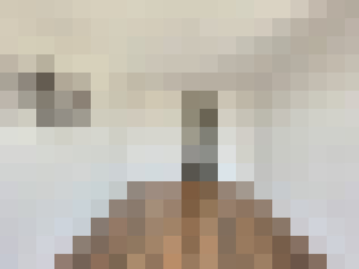  / #11