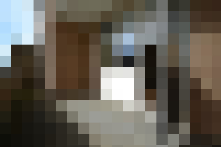  / #15