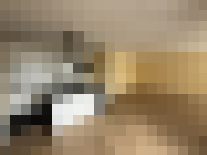  / #16