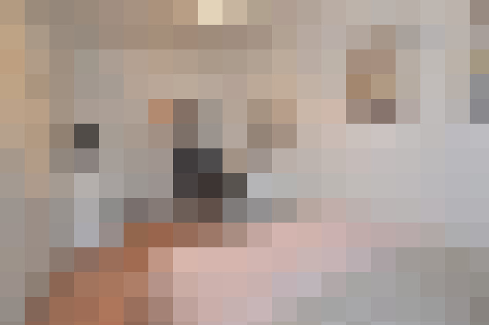  / #13