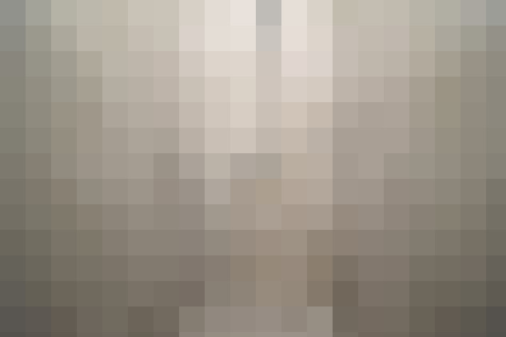  / #19