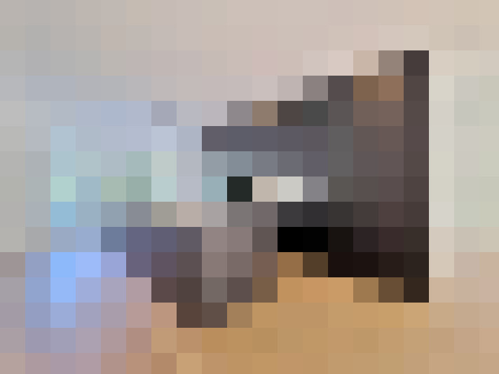  / #8