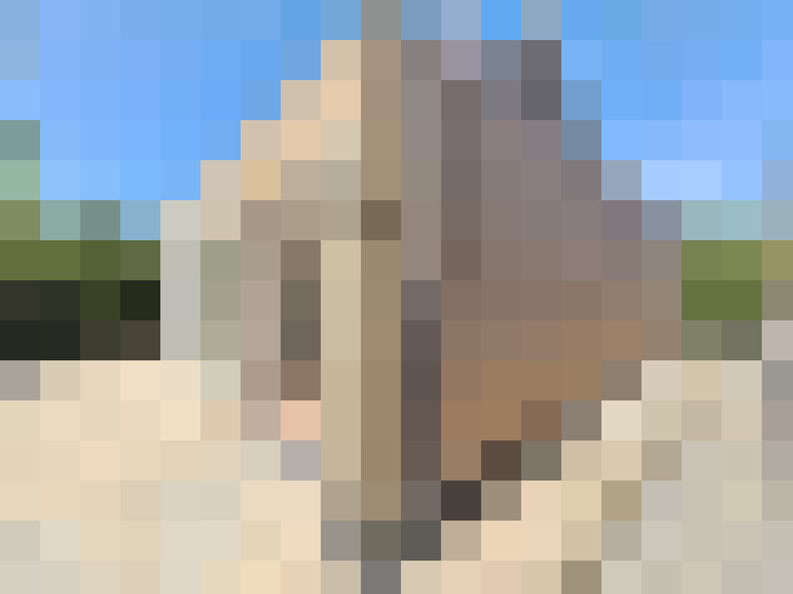  / #15