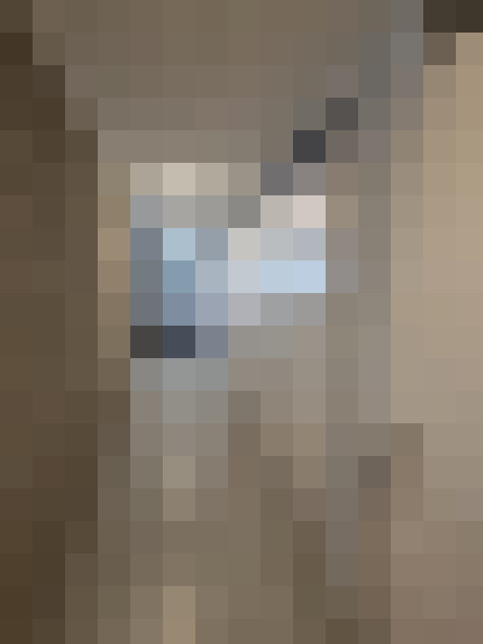  / #11