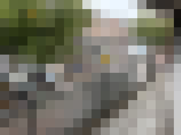  / #13