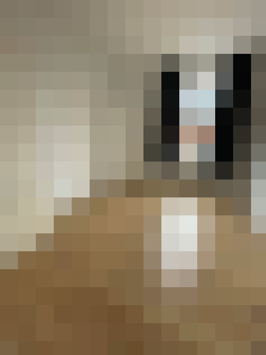  / #8