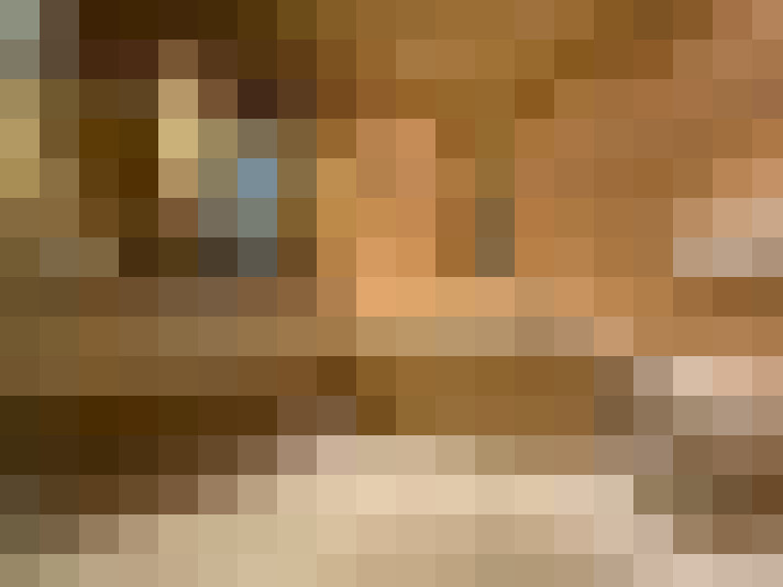  / #23