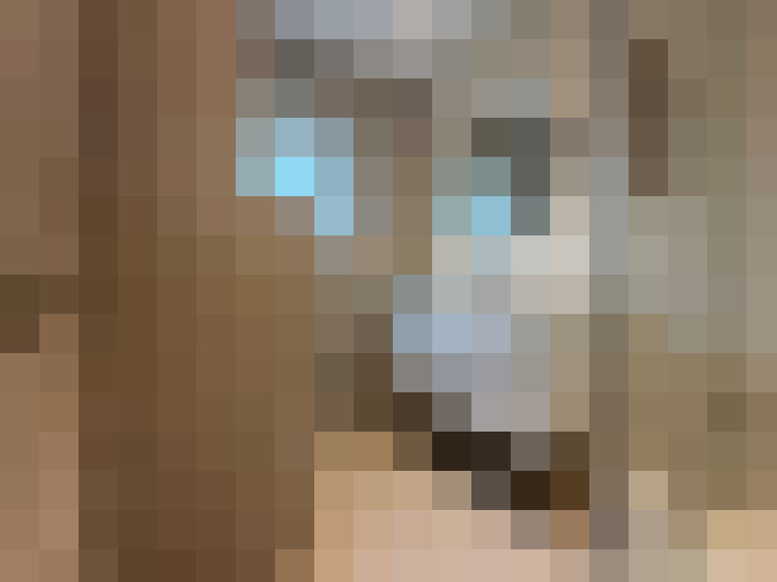  / #12