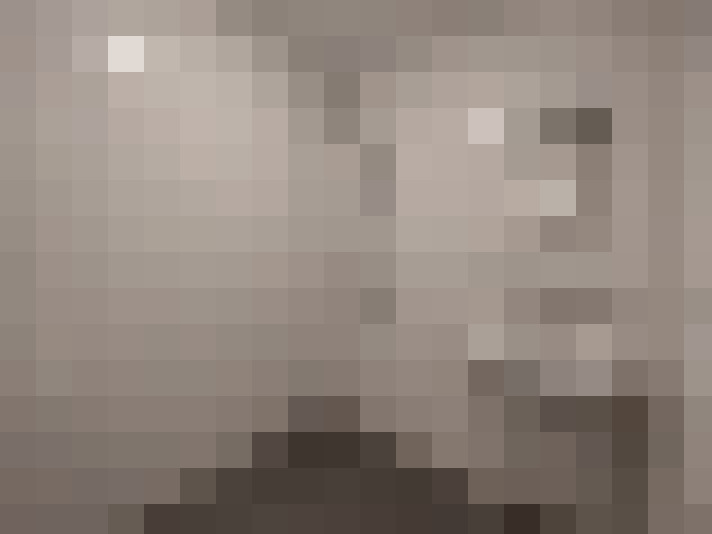  / #16