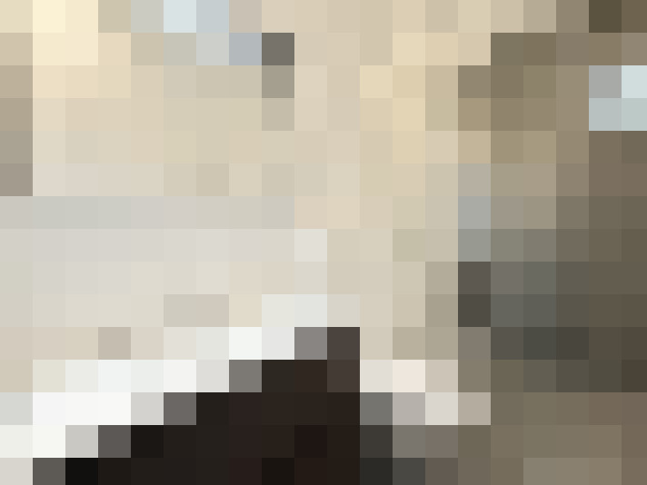  / #14