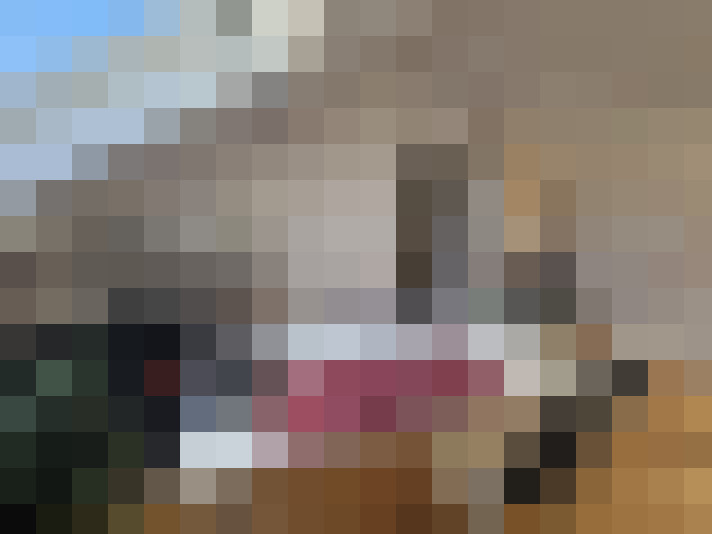  / #17