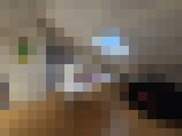  / #16