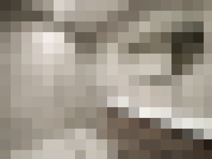  / #14