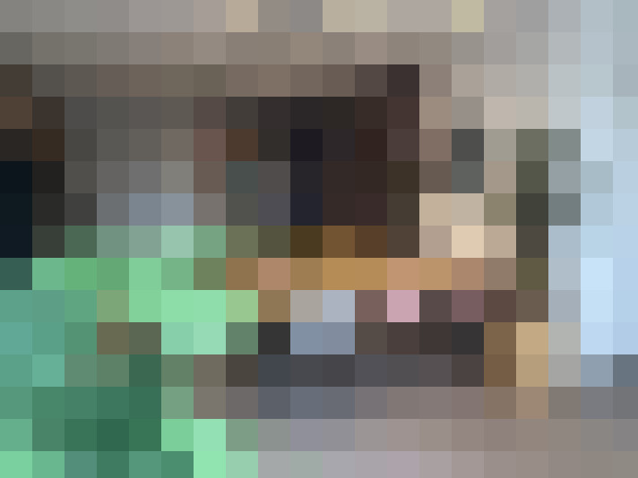  / #13