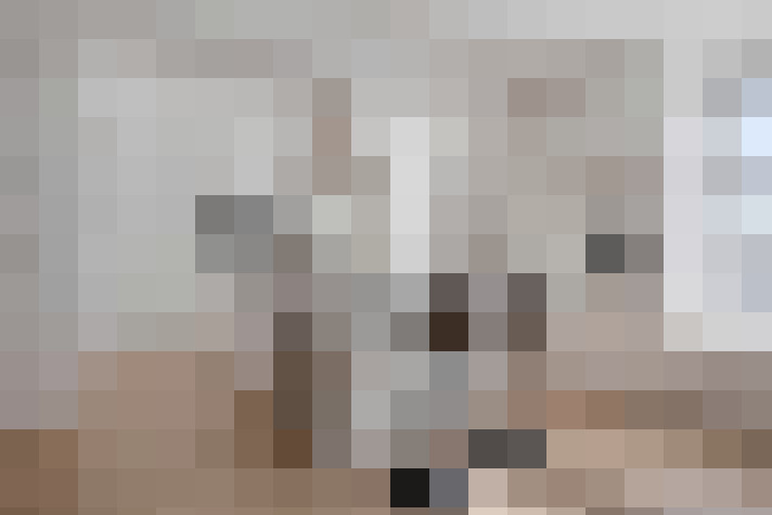  / #13