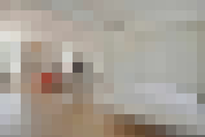  / #16